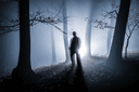 The Haunted Forest Marathon