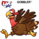 Gobbler 5K, 10K & Half Marathon at Shamrock Park, Venice, FL (11-4-2023)