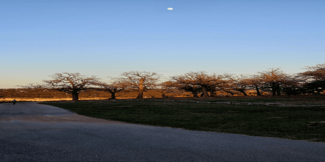 Austin Solstice Circuit Challenge