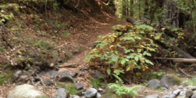 Napa Valley Trail Marathon