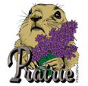 Prairie Series - OK